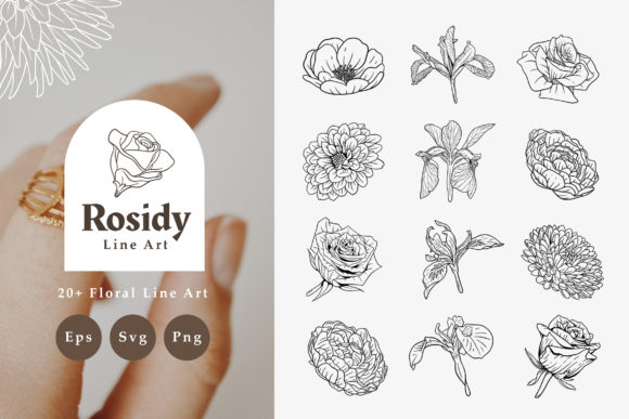 20 Rosidy Floral Line Art: Premium Graphics for Brand Identity