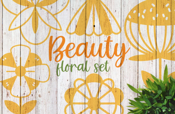 Beauty Floral Set: A Review for Graphics and Illustrations Sellers