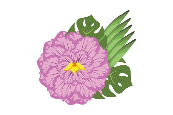 Carnation Flower Floral Illustration Review