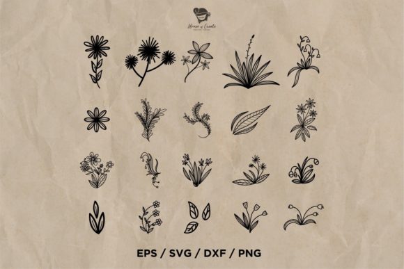 Floral and Branches Set 2 Review for Graphics and Illustrations
