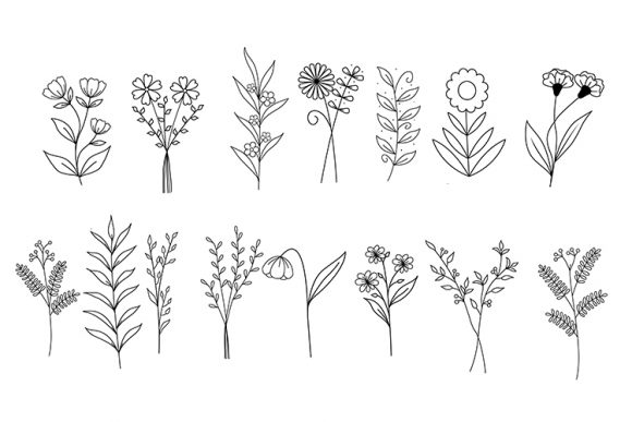 Floral Bundle Graphics for Modern Illustrations