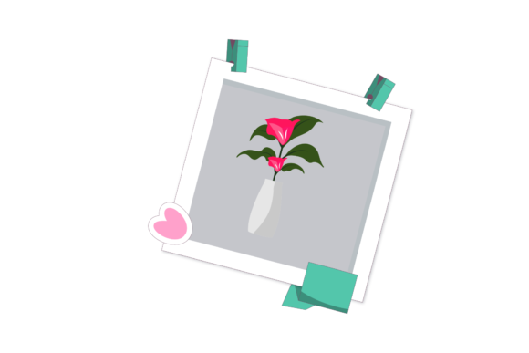 Floral Summer Flowers Photos Frame Style Graphics for Editorial